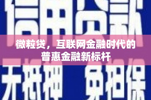 横栏微粒贷，互联网金融时代的普惠金融新标杆