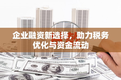 横栏企业融资新选择，助力税务优化与资金流动