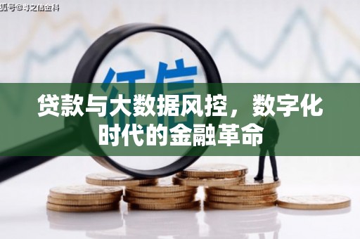 横栏贷款与大数据风控，数字化时代的金融革命