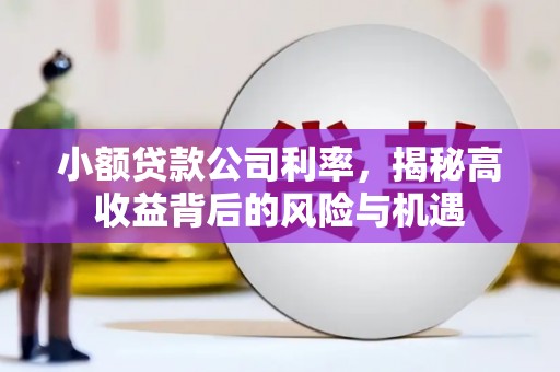 横栏小额贷款公司利率，揭秘高收益背后的风险与机遇