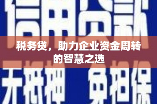横栏税务贷，助力企业资金周转的智慧之选