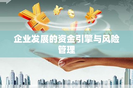 横栏企业发展的资金引擎与风险管理