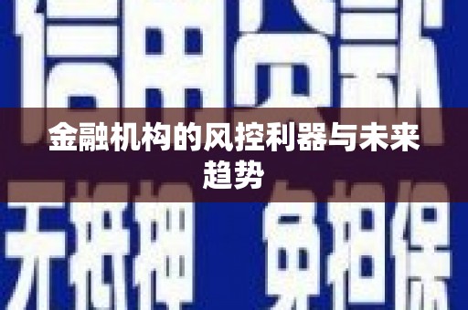横栏金融机构的风控利器与未来趋势