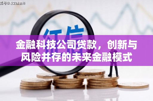横栏金融科技公司贷款，创新与风险并存的未来金融模式