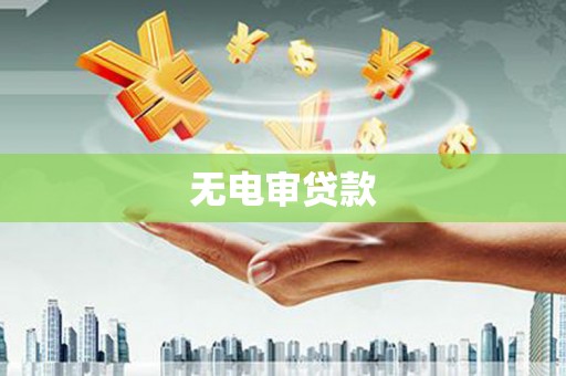 横栏无电审贷款