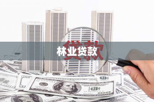 横栏林业贷款
