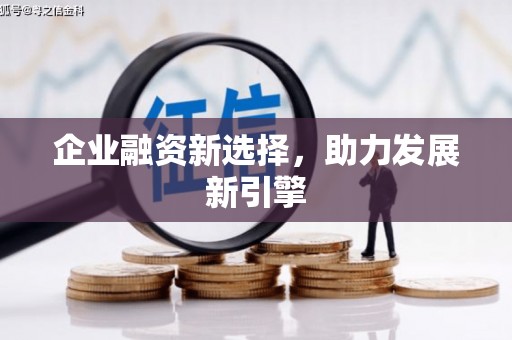 横栏企业融资新选择，助力发展新引擎