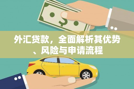 横栏外汇贷款，全面解析其优势、风险与申请流程