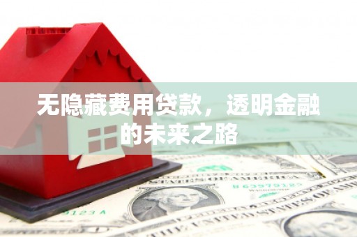 横栏无隐藏费用贷款，透明金融的未来之路