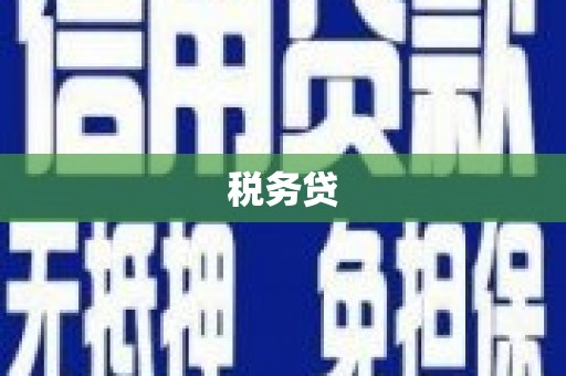 横栏税务贷