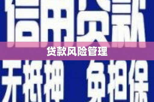 横栏贷款风险管理