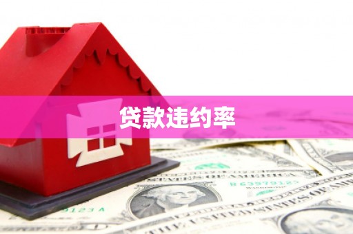 横栏贷款违约率