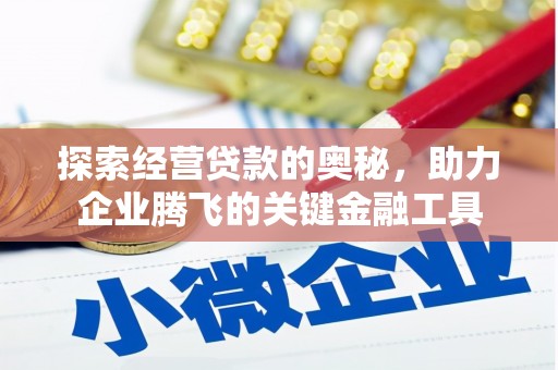 横栏探索经营贷款的奥秘，助力企业腾飞的关键金融工具