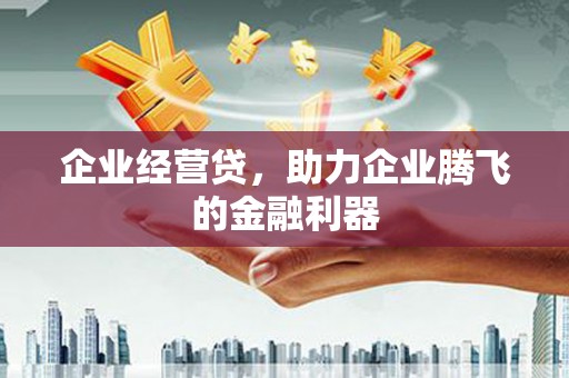 横栏企业经营贷，助力企业腾飞的金融利器