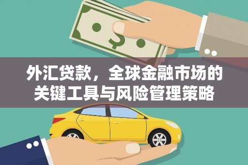 横栏外汇贷款，全球金融市场的关键工具与风险管理策略