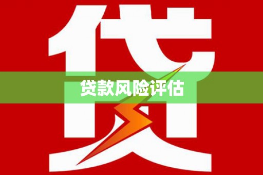 横栏贷款风险评估