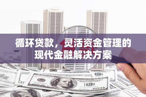 横栏循环贷款，灵活资金管理的现代金融解决方案