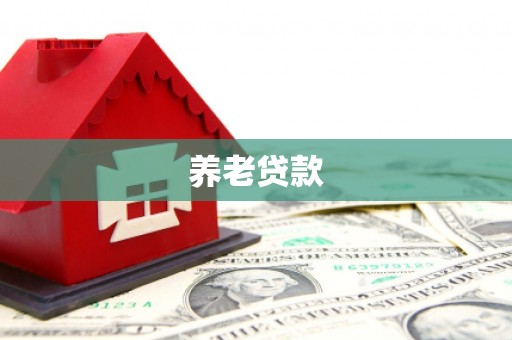 横栏养老贷款
