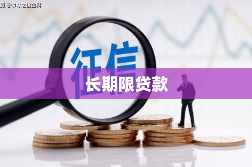 横栏长期限贷款