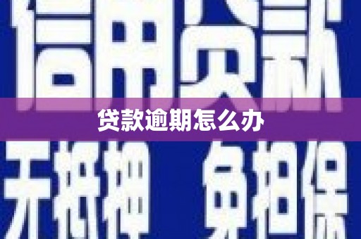 横栏贷款逾期怎么办