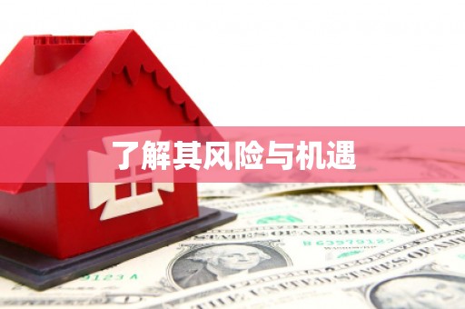 横栏了解其风险与机遇