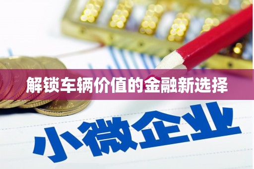 横栏解锁车辆价值的金融新选择