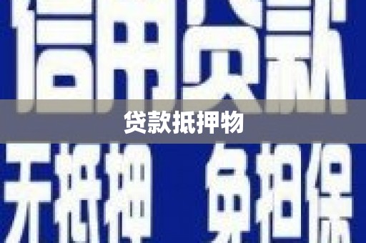 横栏贷款抵押物