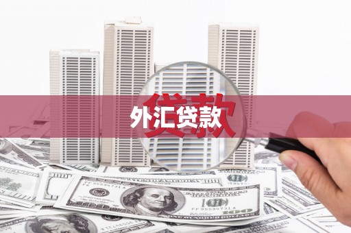 横栏外汇贷款