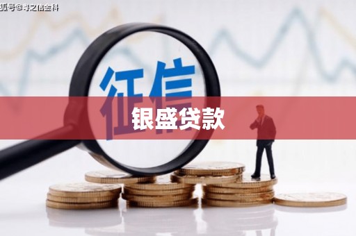 横栏银盛贷款