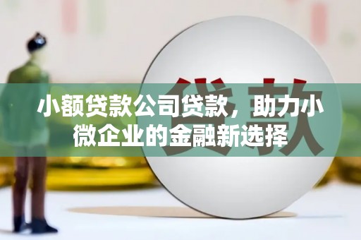 横栏小额贷款公司贷款，助力小微企业的金融新选择