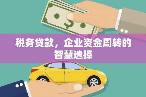 横栏税务贷款，企业资金周转的智慧选择