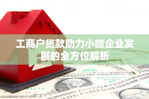 横栏工商户贷款助力小微企业发展的全方位解析
