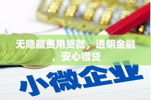 横栏无隐藏费用贷款，透明金融，安心借贷