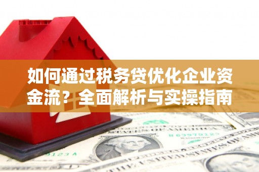 横栏如何通过税务贷优化企业资金流？全面解析与实操指南