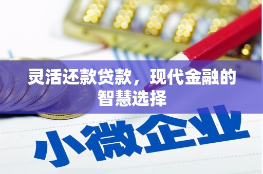 横栏灵活还款贷款，现代金融的智慧选择