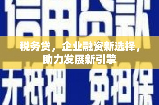 横栏税务贷，企业融资新选择，助力发展新引擎