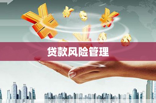 横栏贷款风险管理