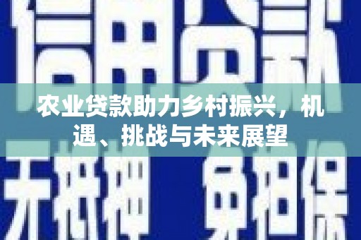 横栏农业贷款助力乡村振兴，机遇、挑战与未来展望