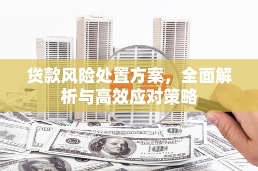 横栏贷款风险处置方案，全面解析与高效应对策略