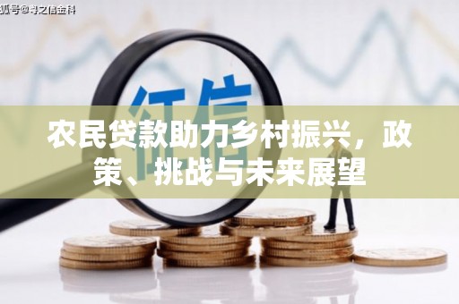 横栏农民贷款助力乡村振兴，政策、挑战与未来展望