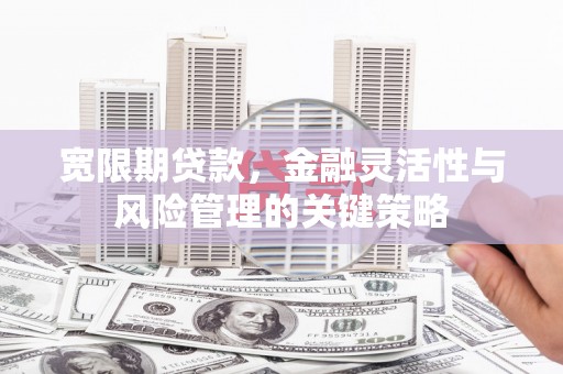 横栏宽限期贷款，金融灵活性与风险管理的关键策略