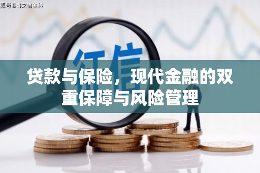 横栏贷款与保险，现代金融的双重保障与风险管理
