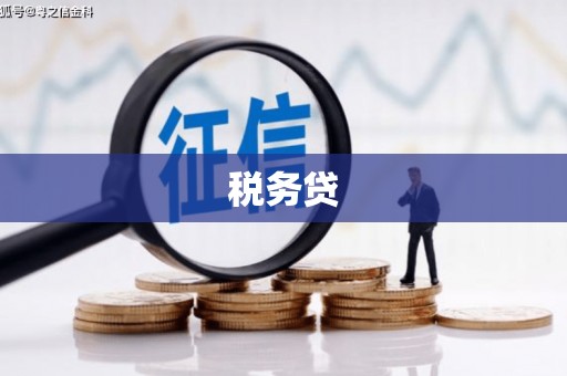 横栏税务贷