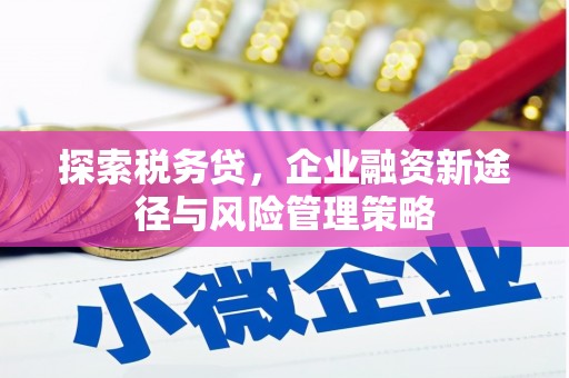 横栏探索税务贷，企业融资新途径与风险管理策略