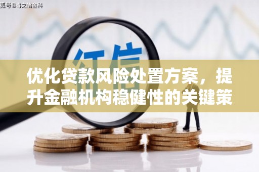 横栏优化贷款风险处置方案，提升金融机构稳健性的关键策略