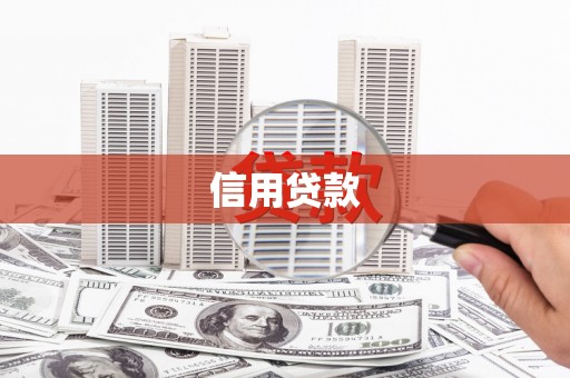 横栏信用贷款