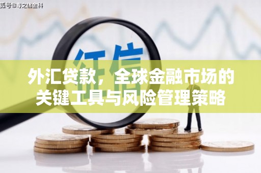 横栏外汇贷款，全球金融市场的关键工具与风险管理策略