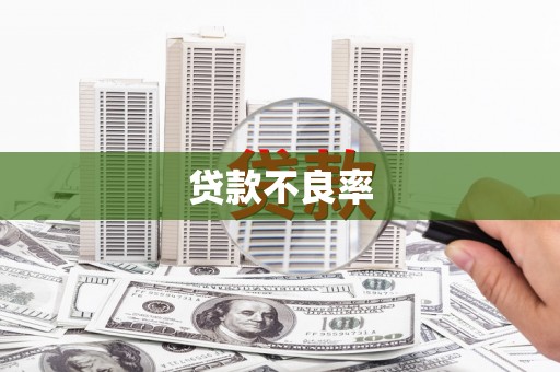 横栏贷款不良率