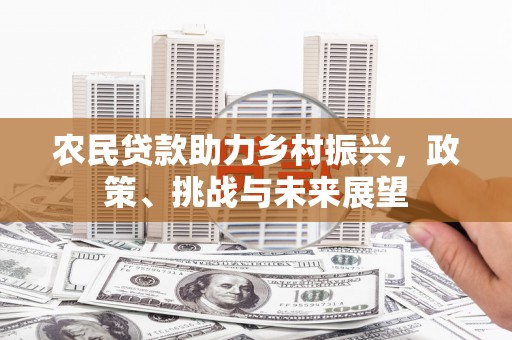 横栏农民贷款助力乡村振兴，政策、挑战与未来展望