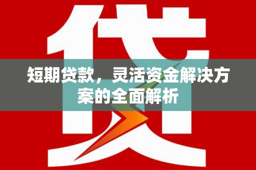 横栏短期贷款，灵活资金解决方案的全面解析